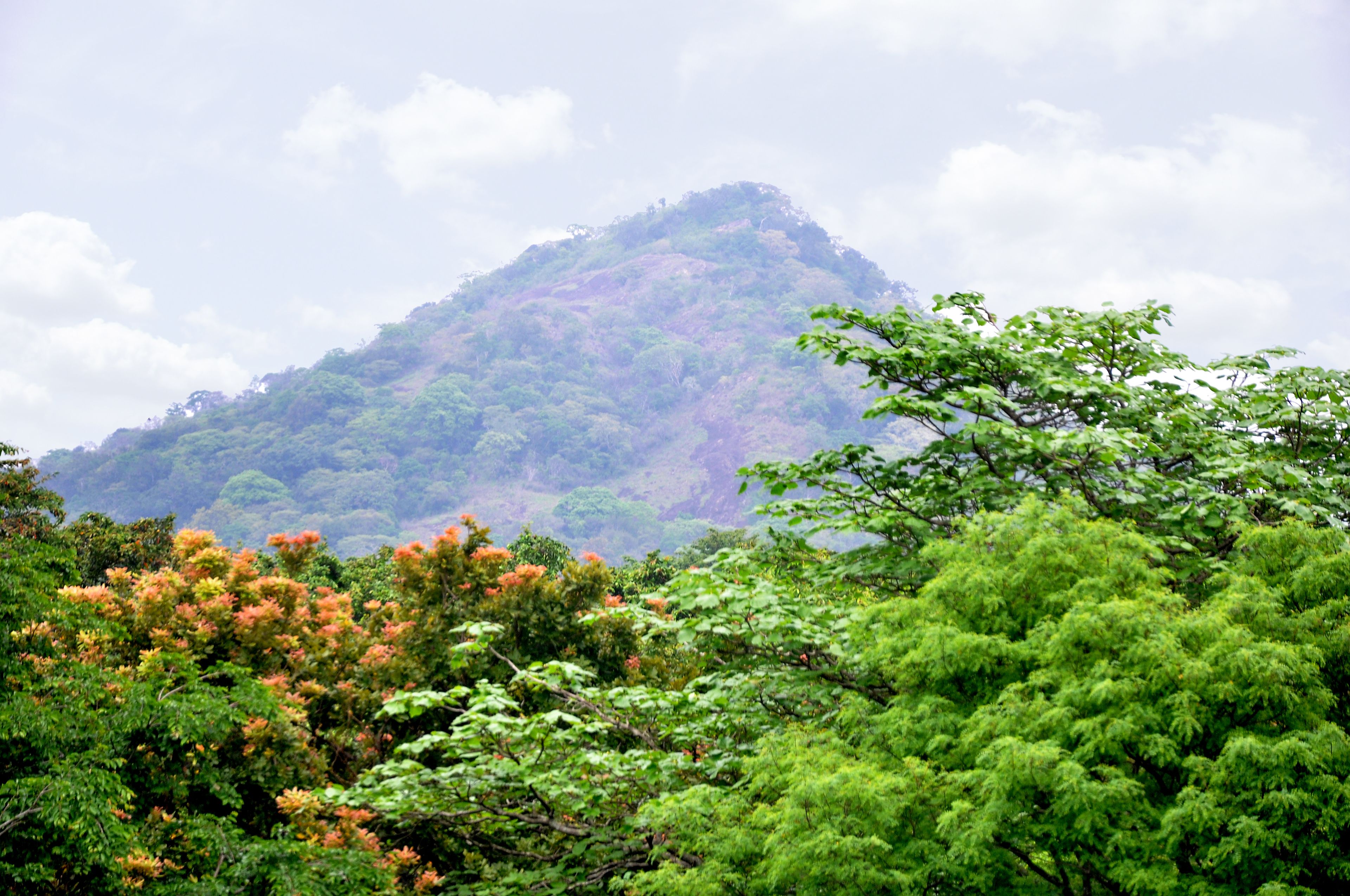 A lush green landscape with a prominent hill in the background.