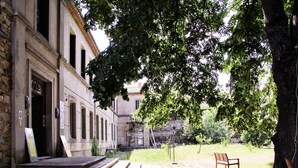 A courtyard with steps leading to a building entrance, a bench, and a large tree providing shade.