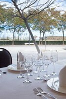 Mesa lista para comer con varias copas de vino y cubiertos, al aire libre con árboles y un cielo despejado al fondo.