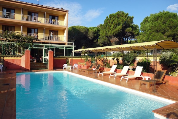 Seasonal outdoor pool, sun loungers