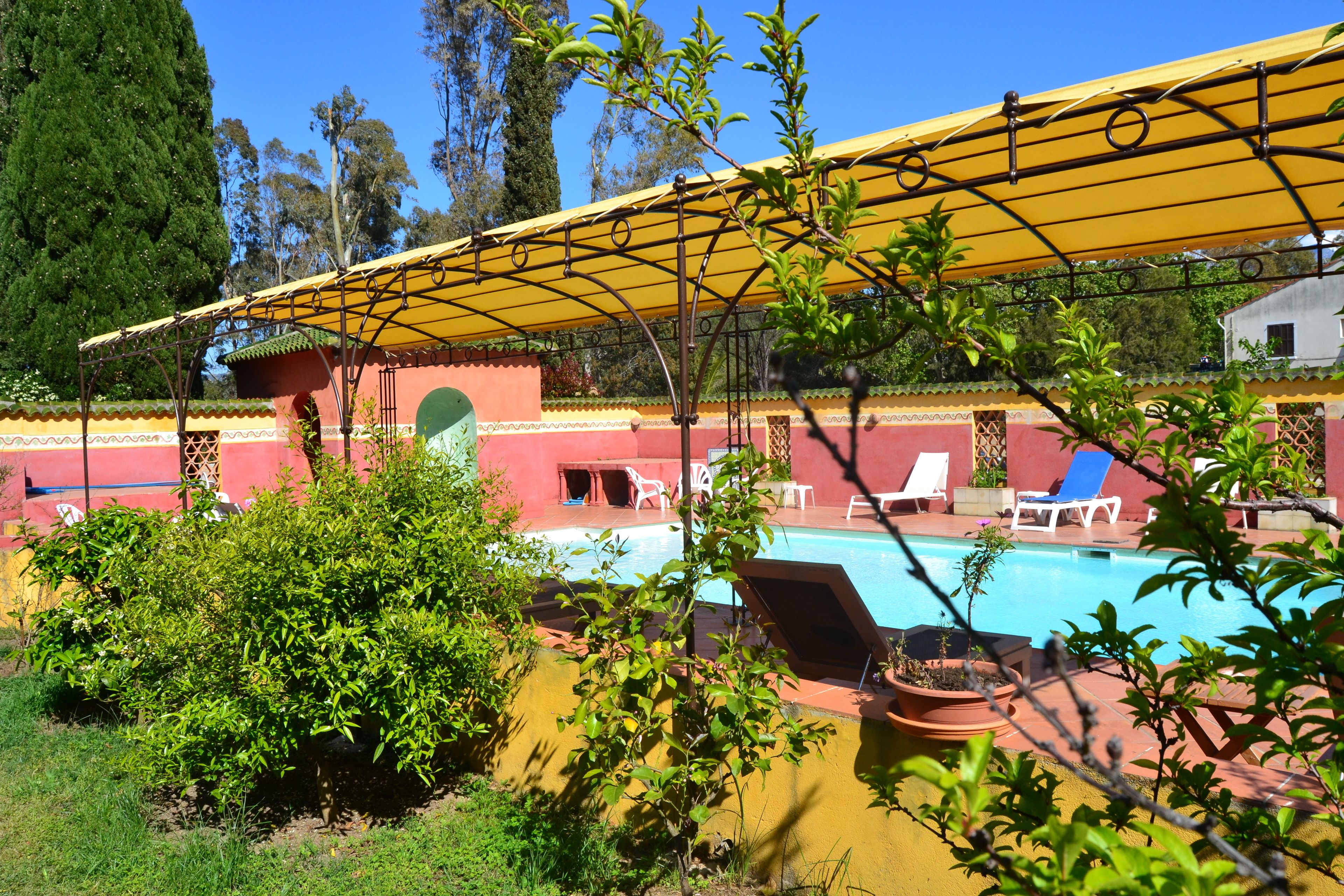 seasonal outdoor pool, pool loungers