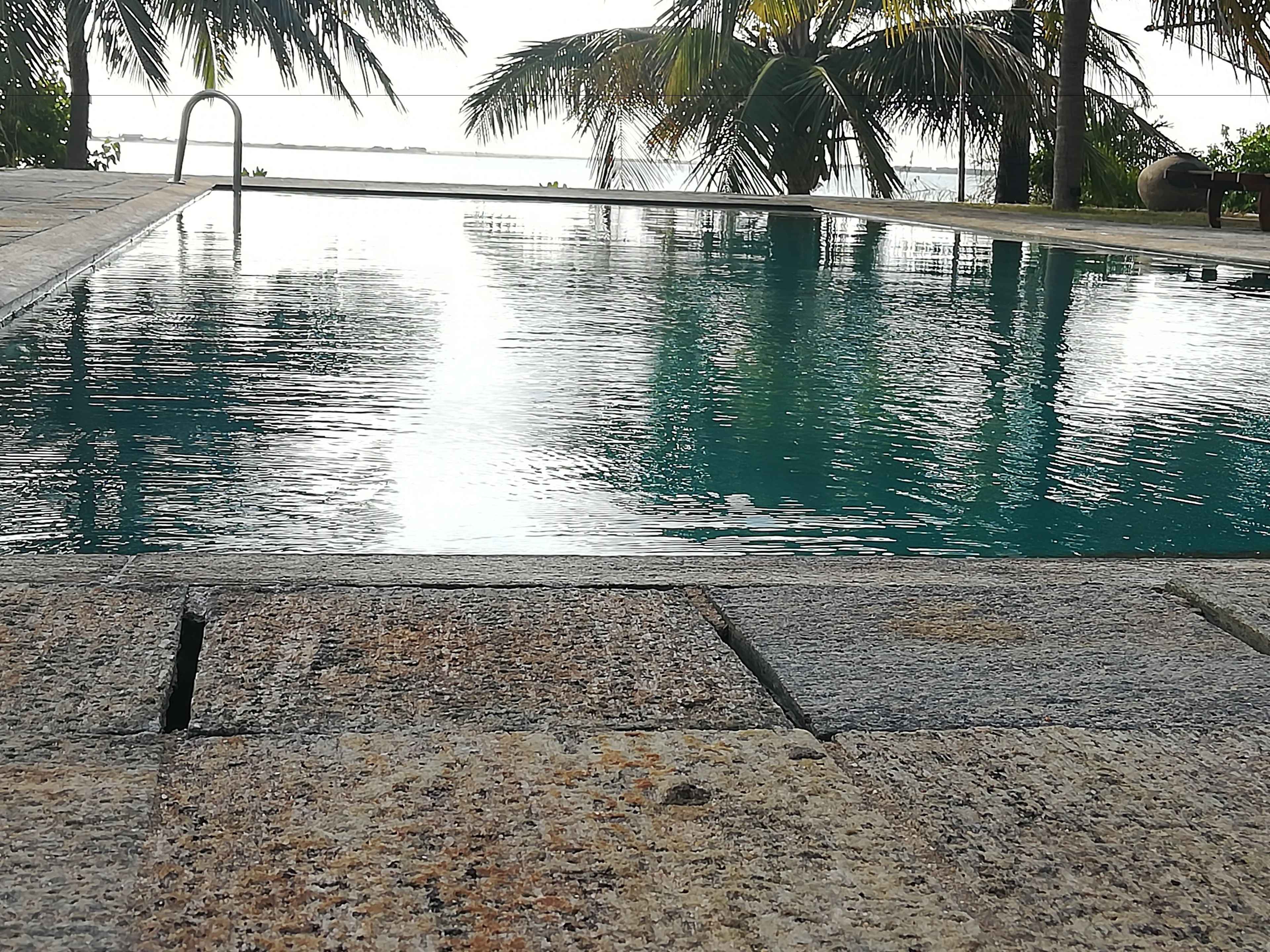 A swimming pool with a stone border, palm trees, and a view of the sea.