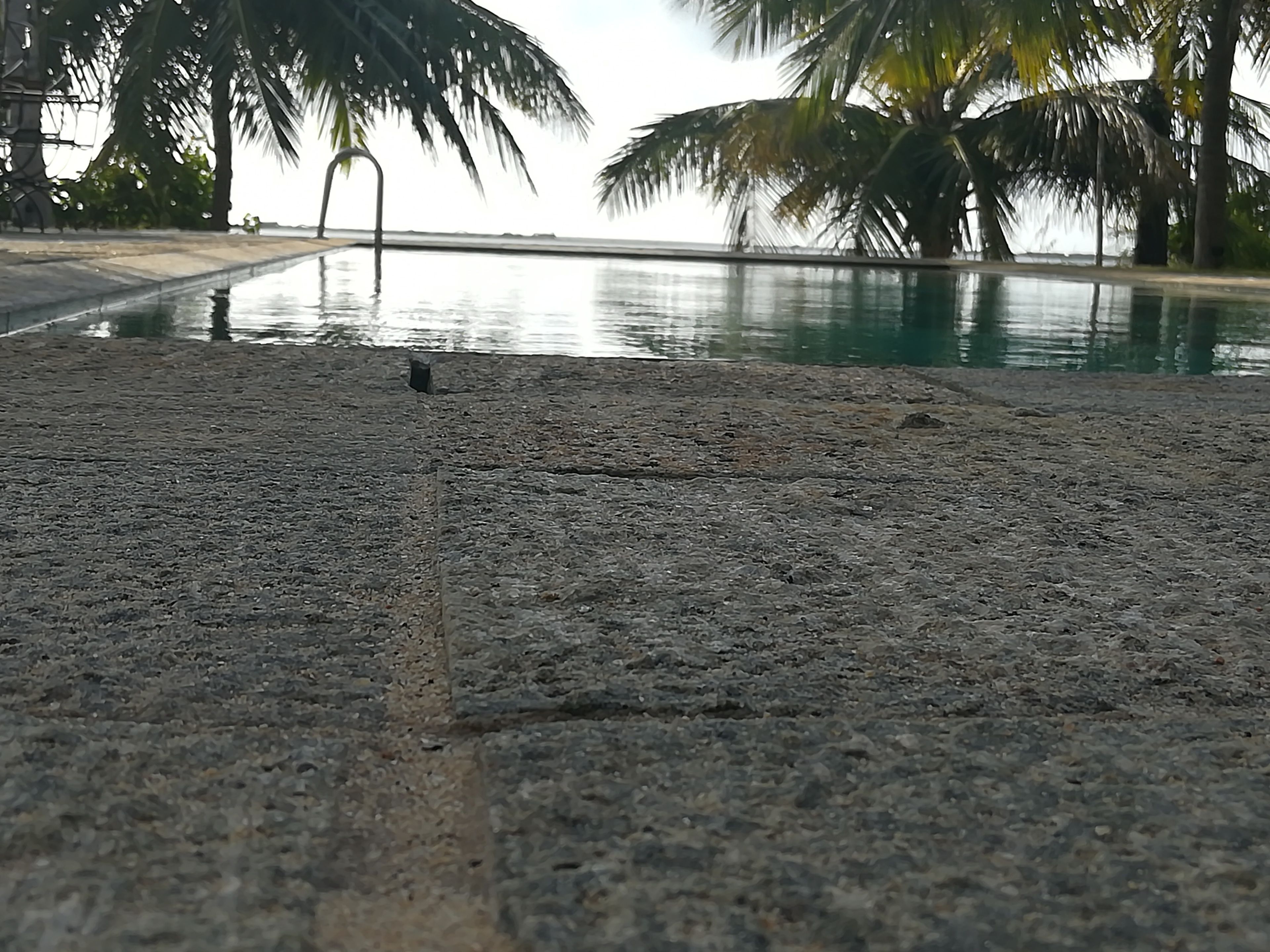 Superficie de concreto con una piscina y palmeras al fondo.