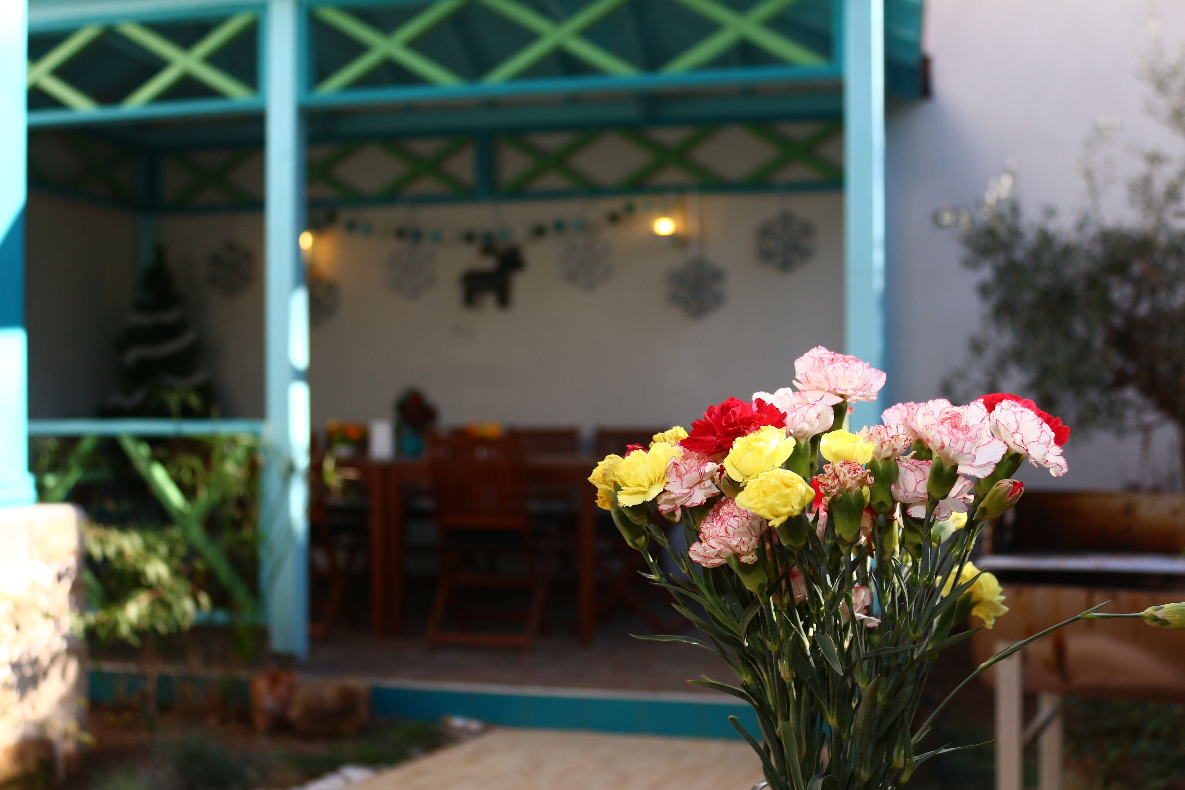 A patio area with a table and chairs, a decorative wall, and a Christmas tree.