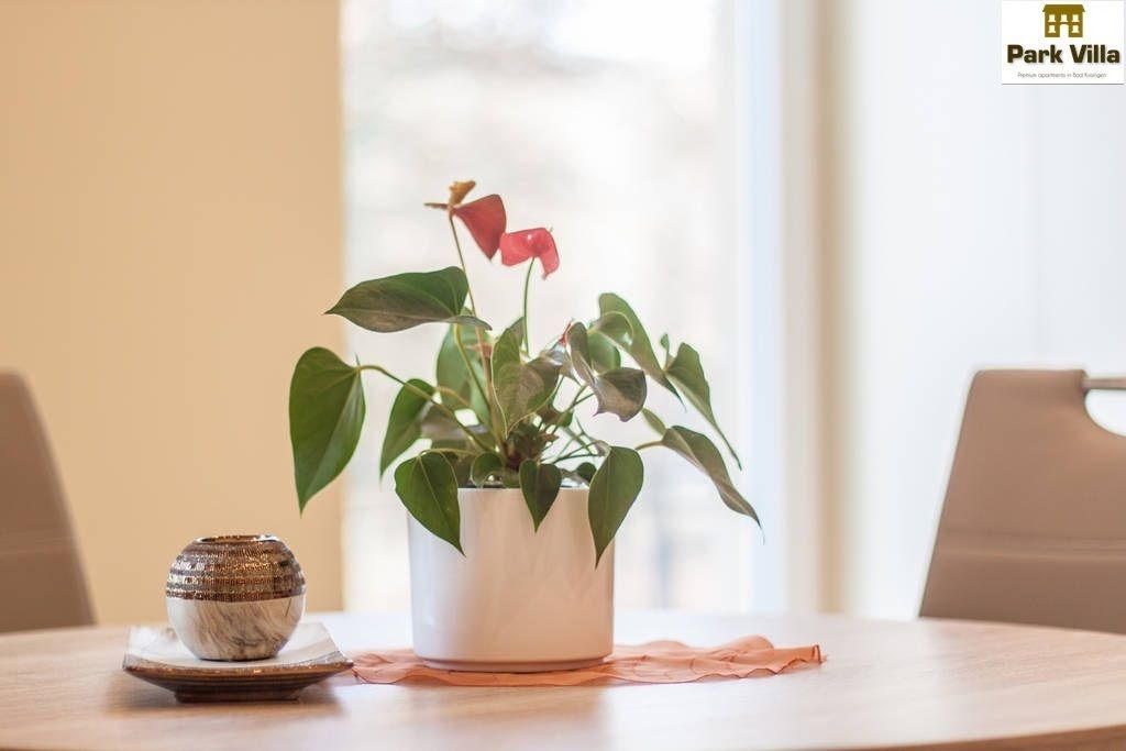 Una mesa redonda con una planta en maceta y un cuenco decorativo.