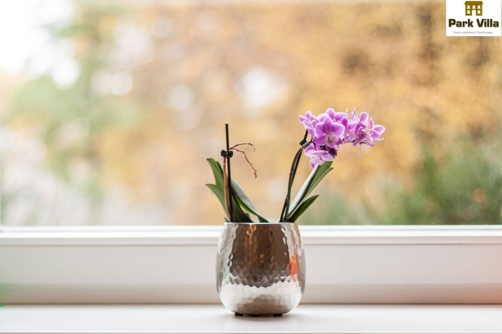 Ein kleiner, strukturierter Topf mit einer einzelnen, violetten Blume auf einem Fensterbrett.
