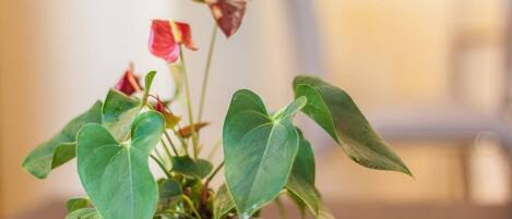 Una planta en maceta con hojas verdes y anchas y algunas flores rojas en una maceta blanca.