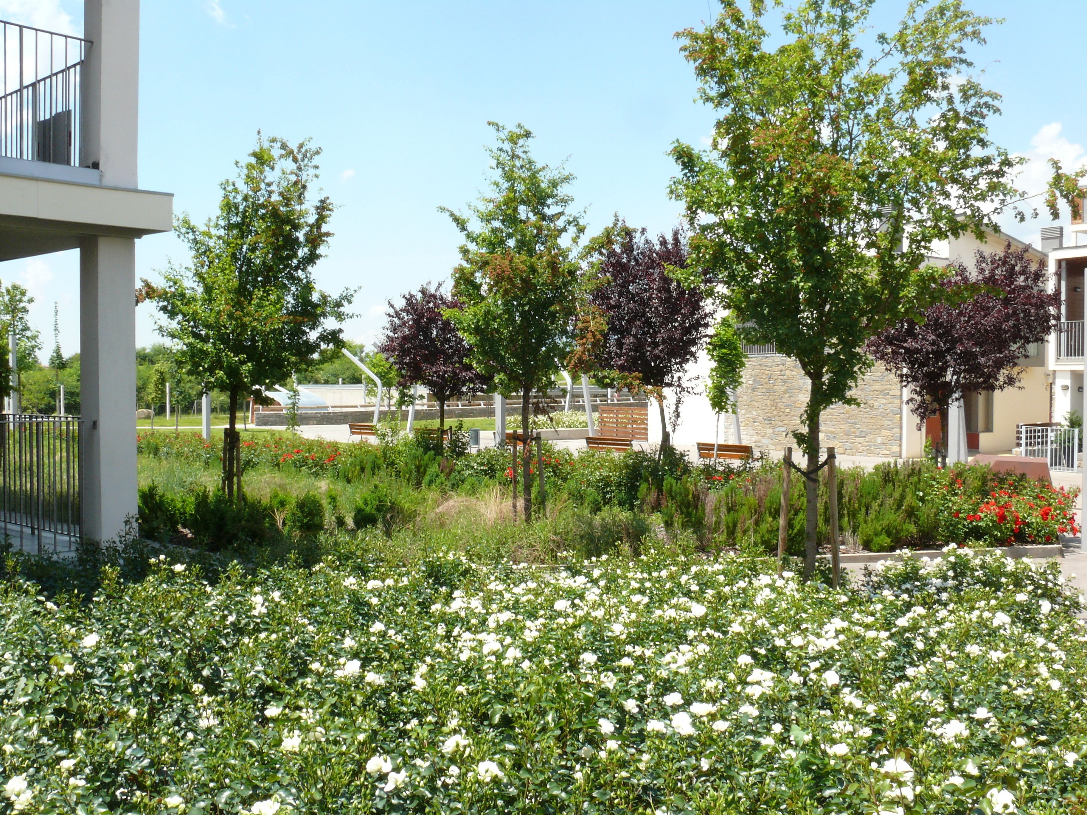 Terrein van de accommodatie