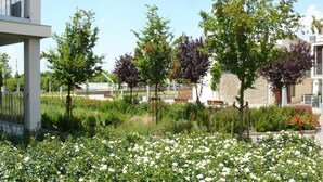 Unclassified image, 2 of 61, button - APARTMENTSUITESPAIN FORMIGAL ORDESA Jardín (Sabinanigo)