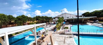 DI ROMA FIORI VIA CALDAS