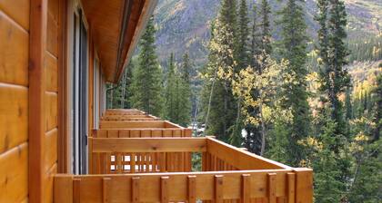 Denali Grizzly Bear Resort