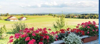 Retraite alpine lumineuse