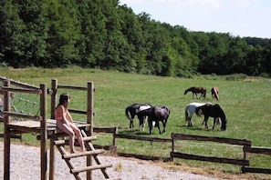 Property grounds - Spacious Dordogne Cottage (Gavaudun)