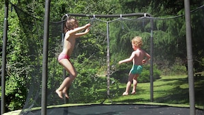 Un trampolín con red de seguridad, rodeado de vegetación.