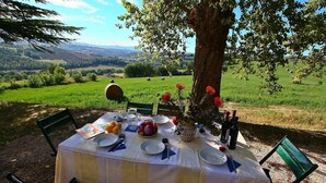 Une table dressée à l’extérieur, offrant une vue pittoresque, avec des assiettes, des couverts, un pichet et un vase rempli de fleurs.