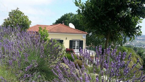 A house with a red-tiled roof, surrounded by lush greenery and lavender plants.