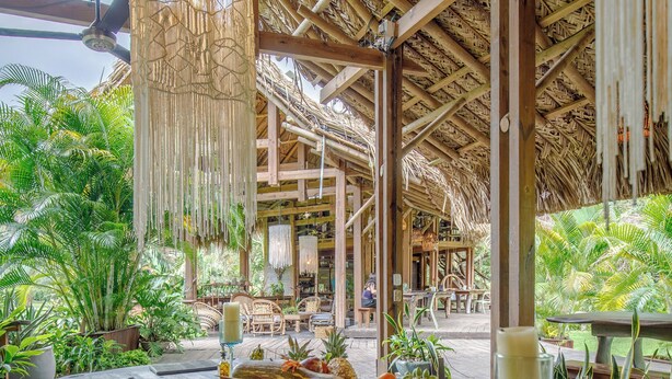An outdoor seating area with a thatched roof, wooden tables, and various plants. - One Santuario Natural (Dibulla)
