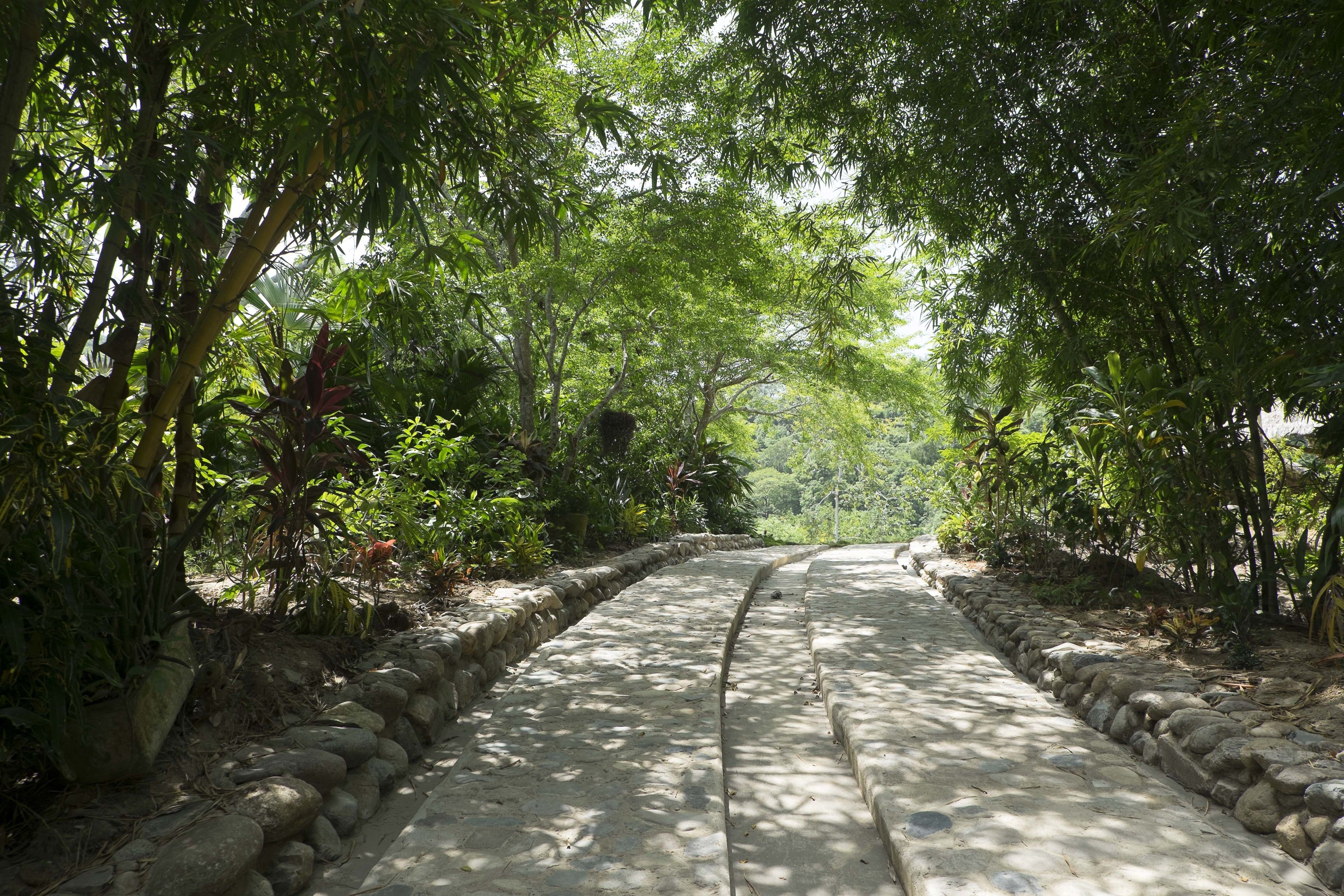 A stone pathway flanked by lush greenery and stone walls, leading through a garden area.