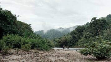 Game viewing