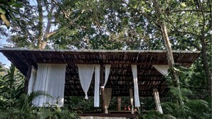 A stone staircase leading to a covered structure with a thatched roof and white curtains. - One Santuario Natural (Dibulla)