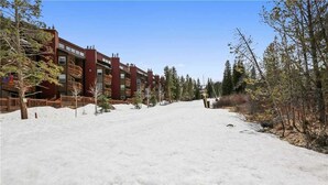 A snow-covered path leading to a multi-story building with balconies, surrounded by trees. - Pines 101 Ski in out 4 BR Town House (Breckenridge)
