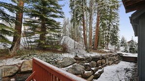 Zona esterna innevata con un muro in pietra, una recinzione in legno e alti alberi sempreverdi.