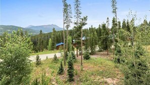 Une zone boisée avec un chalet et une vue dégagée sur les montagnes lointaines.