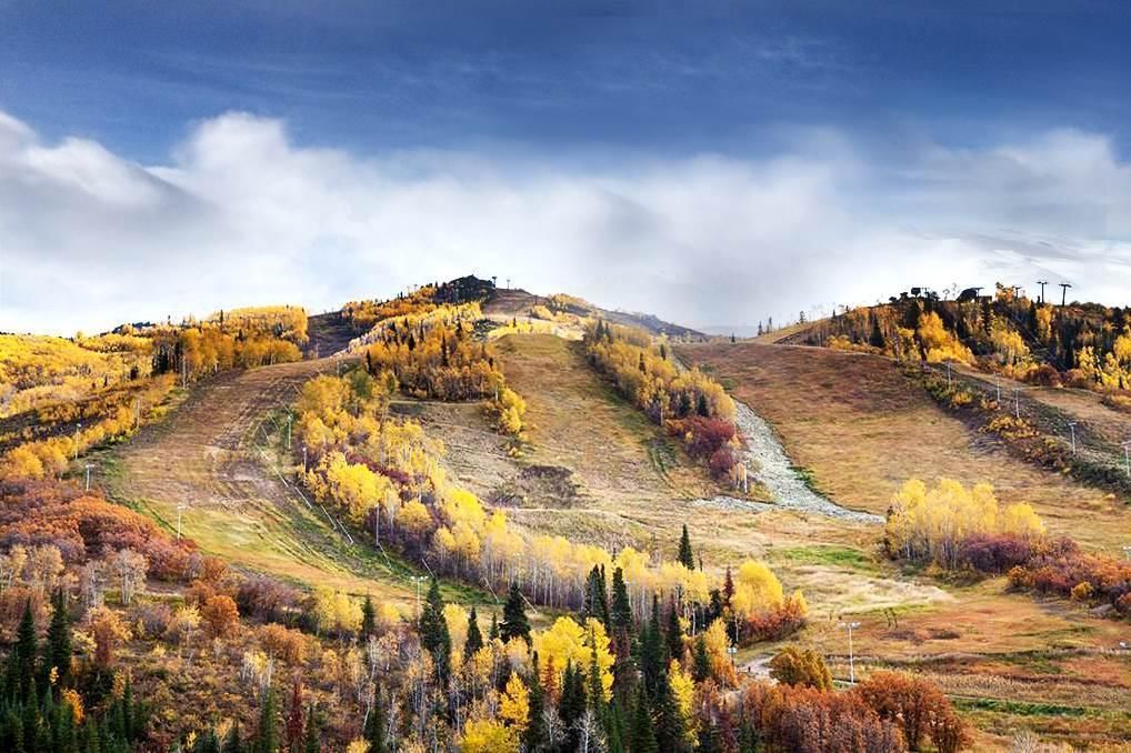 A panoramic view of a hilly landscape with autumn foliage, featuring a winding path and distant buildings.