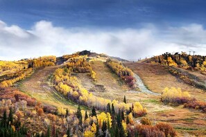 Ein weiter Blick auf eine hügelige Landschaft im Herbst, mit einem sich schlängelnden Pfad und Gebäuden in der Ferne.