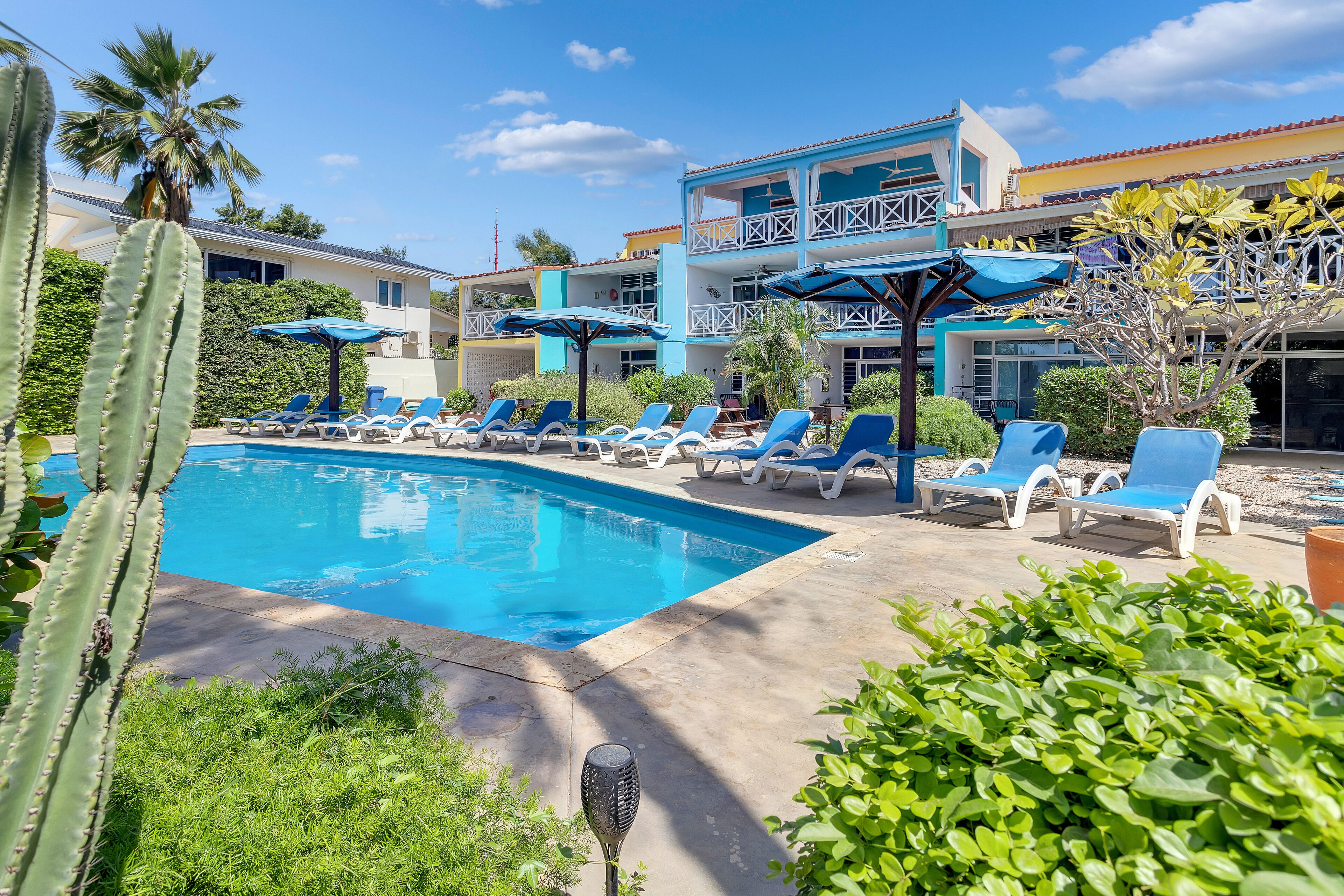 Piscine extérieure, parasols de plage, chaises longues