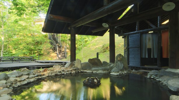 Ein ruhiger Außenbereich mit Thermalbad, einer Holzkonstruktion, einem Steinweg und einem Teich mit einem Frosch.