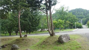 Japanese Style Room with Private Bathroom, Non Smoking | View from room