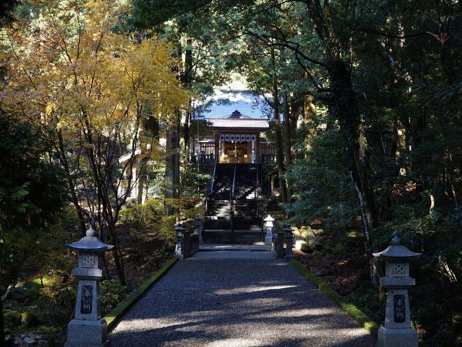 A traditional Japanese temple with a gravel pathway leading to the entrance, surrounded by trees and stone lanterns.