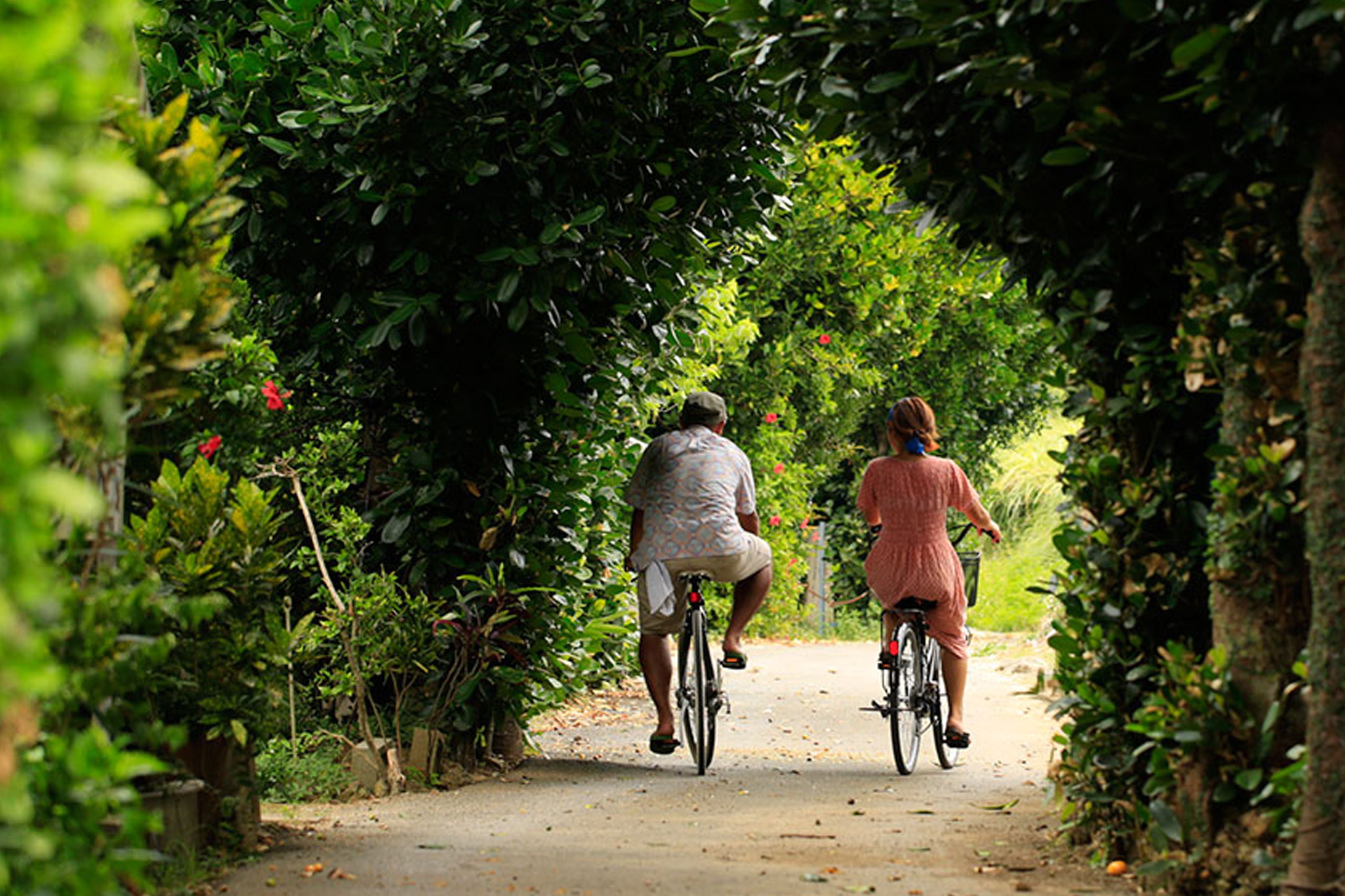 Two people riding bicycles on a narrow path surrounded by dense foliage.
