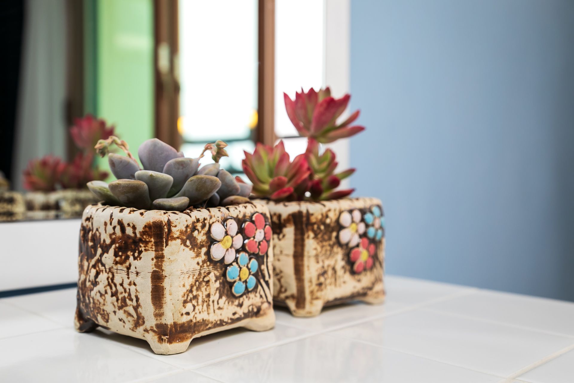 Two ceramic planters with succulents on a white tiled surface.