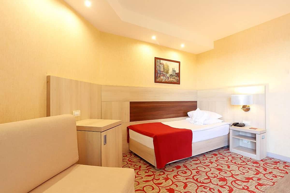 标准单人房, 无障碍 | 客房内保险箱、办公桌、熨斗/熨板、免费婴儿床