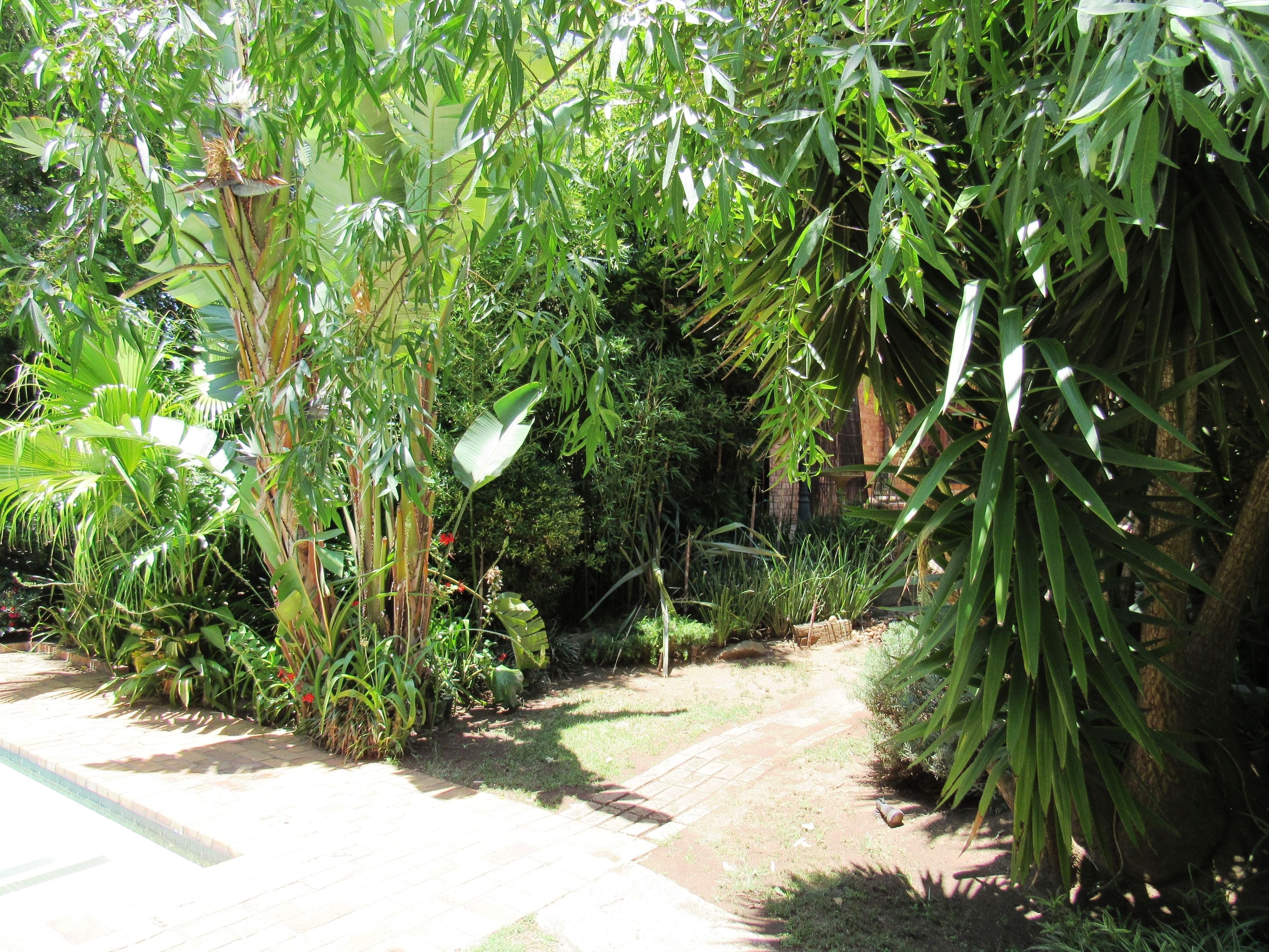 Taman