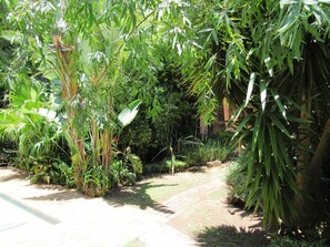 Garden - House on York Guest House (Johannesburg)