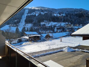 Apartment (Pferdeglück, plus cleaning fee 126,-€) | Blick vom Balkon