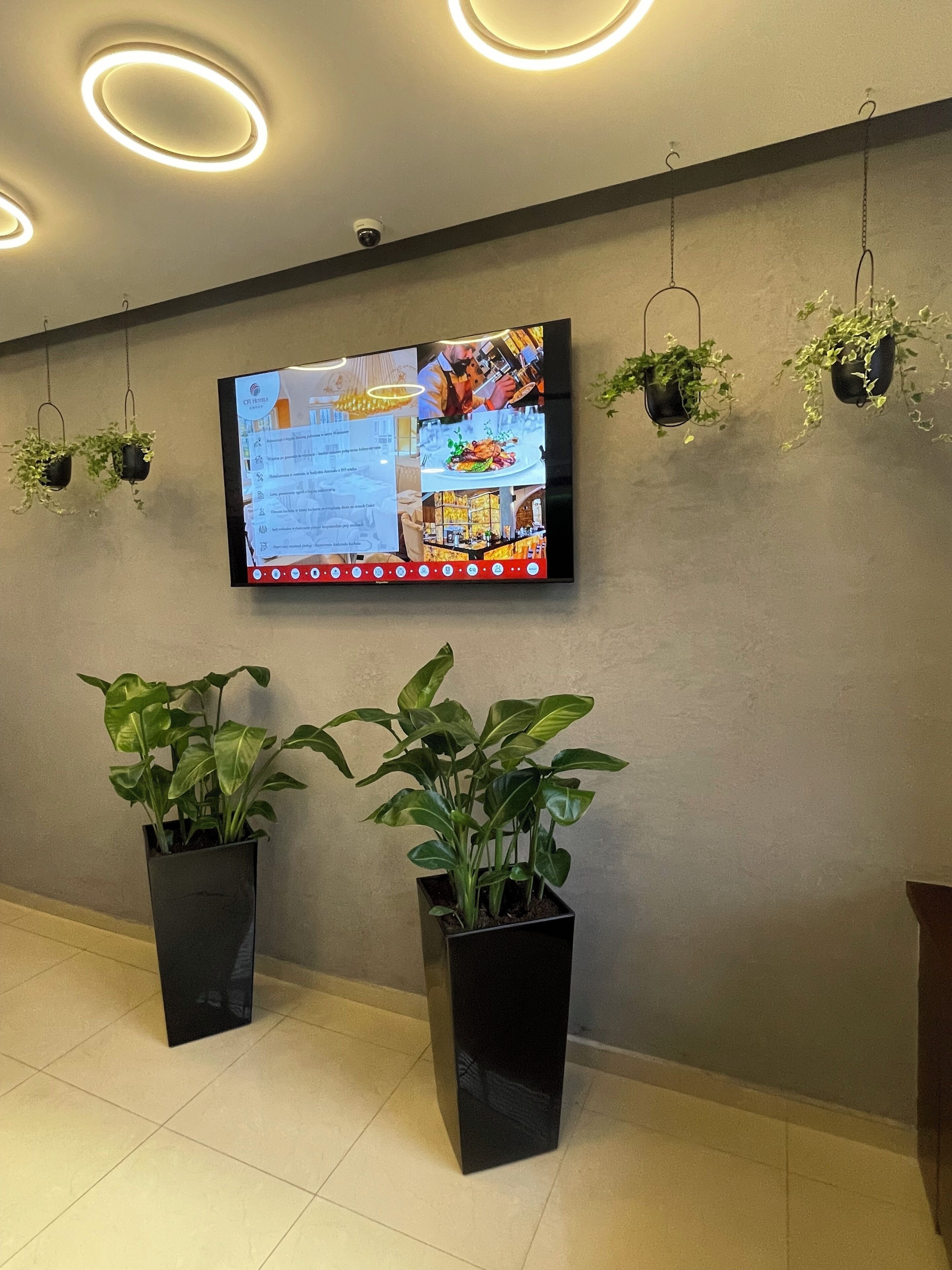 Un'area reception di un hotel con una TV a schermo piatto che mostra un menù, due piante in vaso e un soffitto con luci circolari.