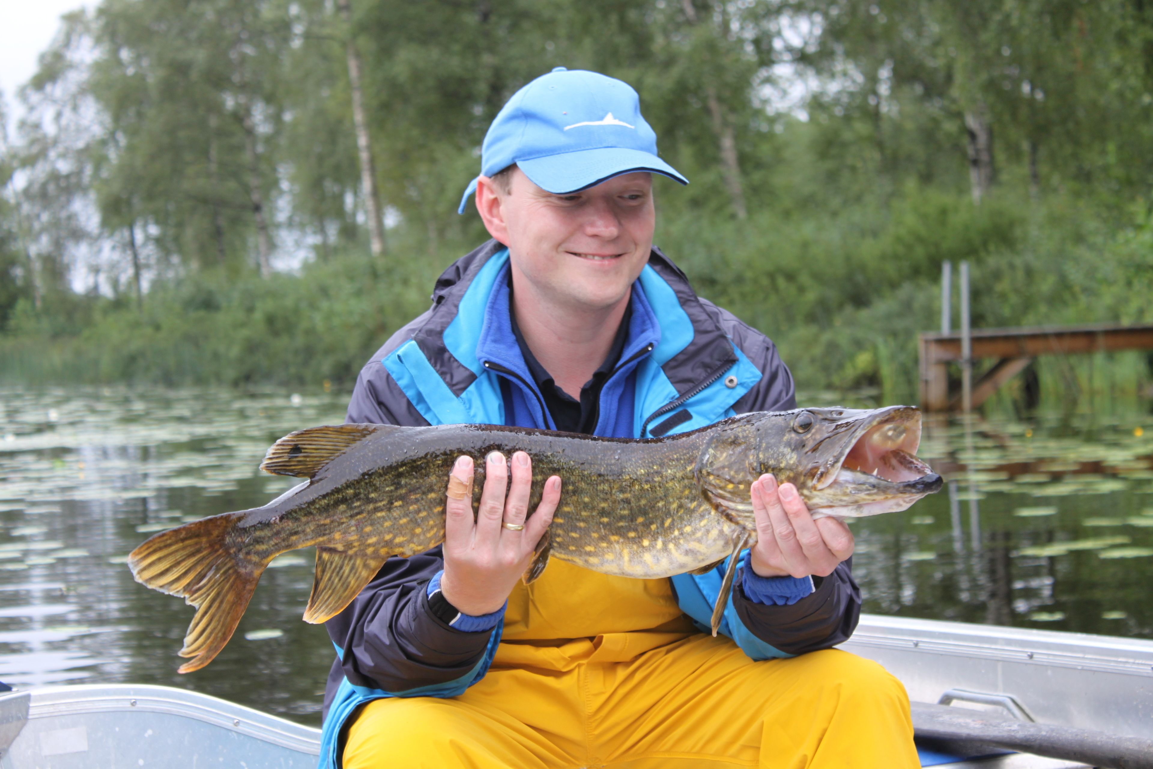 Eine Person hält einen Fisch in einem Boot.