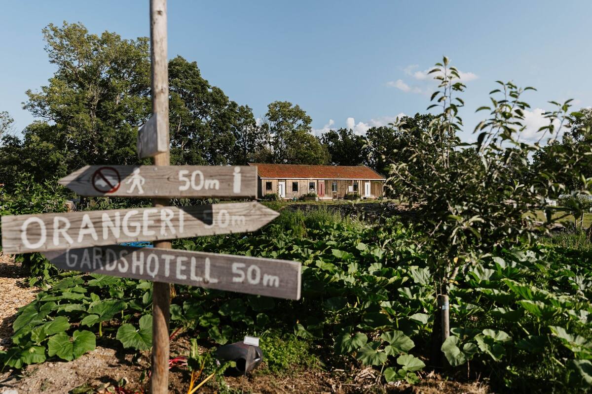 A wooden signpost with directions to Orangeri and Cardshotell, both 50 meters away.