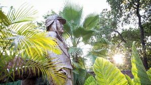 A statue in a garden with large green leaves and a stone structure in the background.