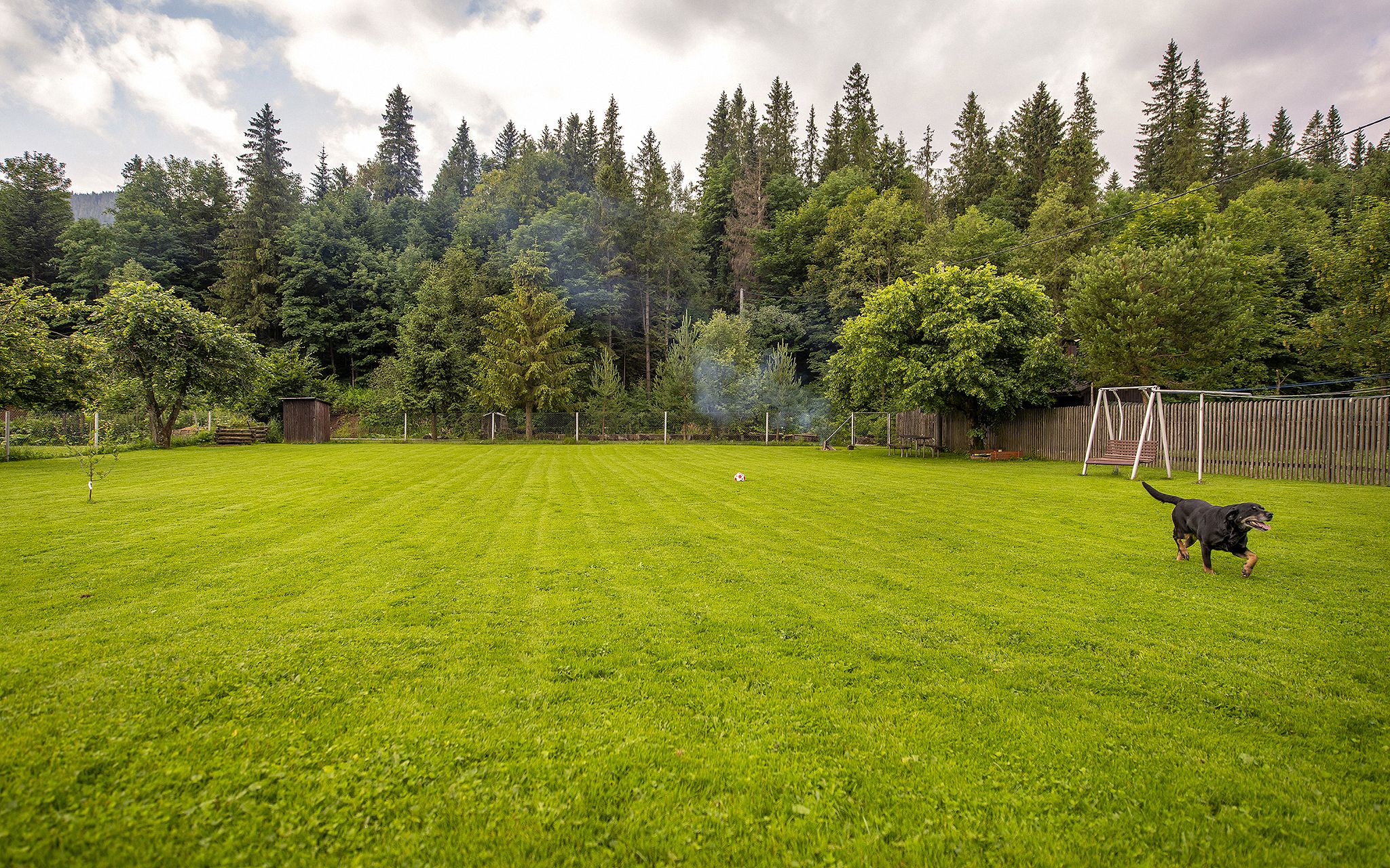 A grassy backyard with a wooden fence, a swing set, and a dog.