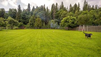 A grassy backyard with a wooden fence, a swing set, and a dog.