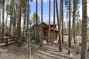 A cabin surrounded by tall pine trees. - Tatonka Lodge House (Breckenridge)