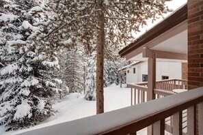 View from property - Winterwood 3 Town House (Steamboat Springs)