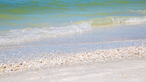 A beach with clear turquoise water and a sandy shore with small pebbles. - South Seas Tower 3 606 (Marco Island)