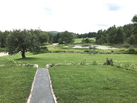 Vista desde la habitación