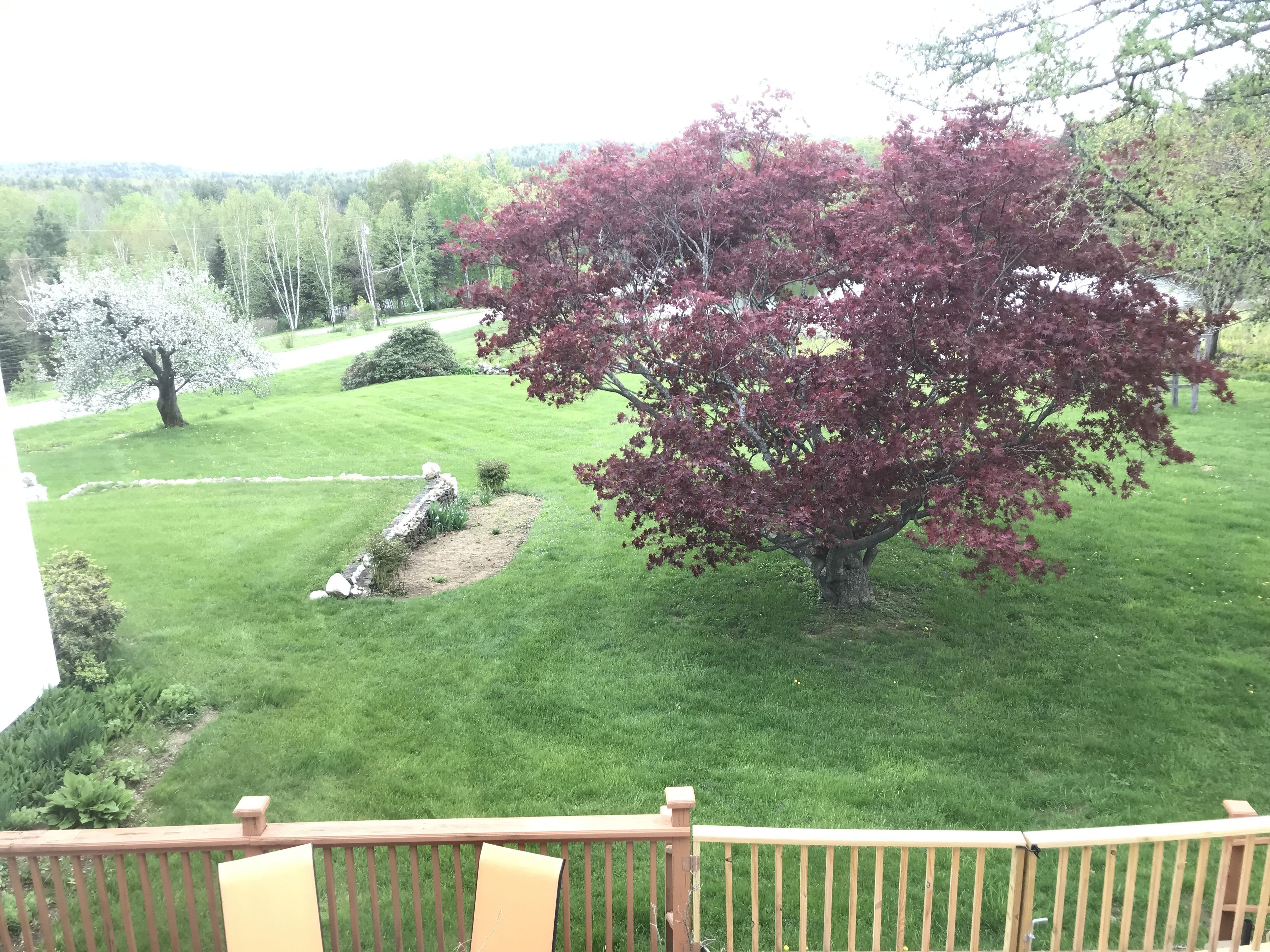 Colonel Williams Inn